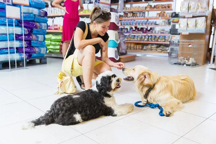 Türkiye'de Petshop Sektörüne Genel Bir Bakış