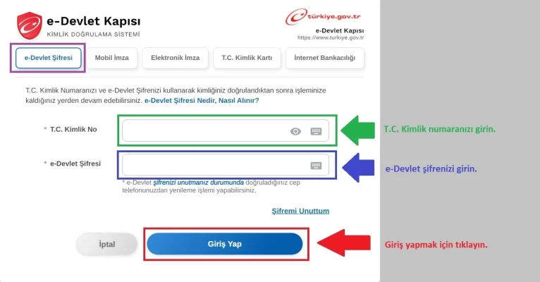 İnternetten Ceza Borcu Sorgulama E-devlet Giriş