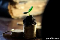 Emergency Fund Guide: How to Build and Use Your Safety Savings