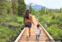 Live Life Fully: Practical Steps to Start Today
