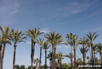 Why You Shouldn’t Let Vacation Days Go Unused