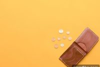 Lost Your Wallet? Step-by-Step Guide to Recover and Protect IDs
