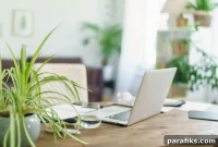 6 Practical Steps to Get Your First Customers When You’re Unknown