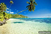 From $3/Hour Backpacker to Sailing Entrepreneur with an Online Business