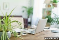 12 Proven Ways I Avoided Crushing Student Loan Debt