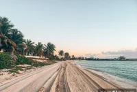 Why I Took a Yearlong Break from Blogging and Social Media