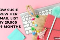 How Susie Added 29,000+ Email Subscribers in 9 Months