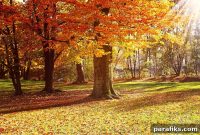 Fall Financial Checklist: 17 Essential Actions to Take Now
