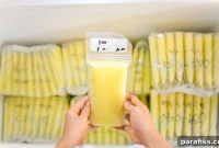 How to Sell Breast Milk Safely and Earn Extra Income