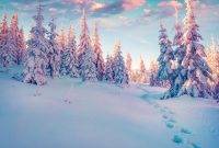 24 Profitable Winter Side Hustles to Boost Your Income