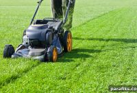 Top Paying Jobs for 15-Year-Olds: How Teens Can Earn Money