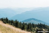 Top Side Hustles for Retirees: 17 Flexible Income Ideas
