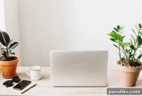 How to Earn $15,000 a Month: 15 Proven Income Strategies