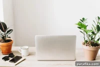 Top Freelance Sites to Find High-Paying Jobs and Grow Income