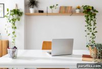 How I Started a Business With No Money: A Practical Guide