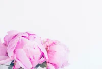 December Business Income: How I Earned $12,160 That Month