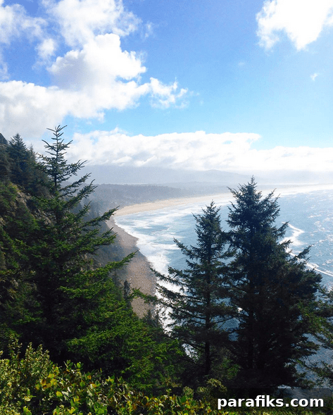 Highway 101
