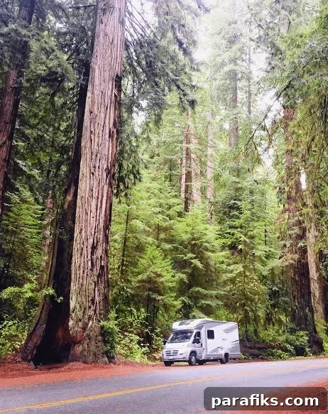 RV Living - Travel and Work On The Road