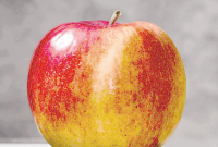 Student Loan Consolidation and Refinancing: Key Facts You Need to Know