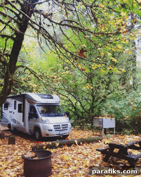Set Ambitious Yearly Goals to Make This Year Amazing 13 RV in the Redwoods