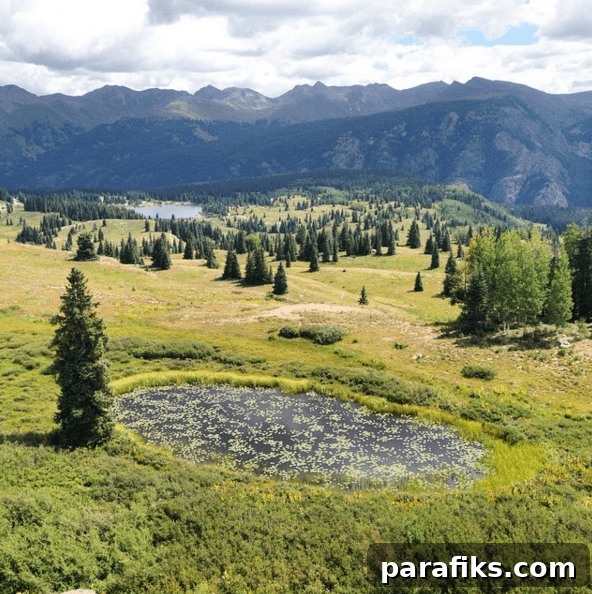 Common RV Questions: Yes, I Even Talk About Where We Go #2 12 Common RV Questions