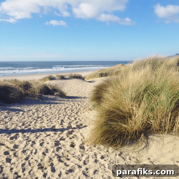 Common RV Questions: Yes, I Even Talk About Where We Go #2 9 RV Living - Travel and Work On The Road 4