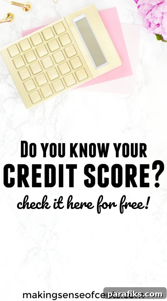 The Complete Credit Score Guide - Improving Your Credit Score Has Never Been Easier!