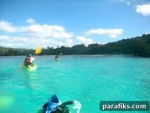 img 2679 1