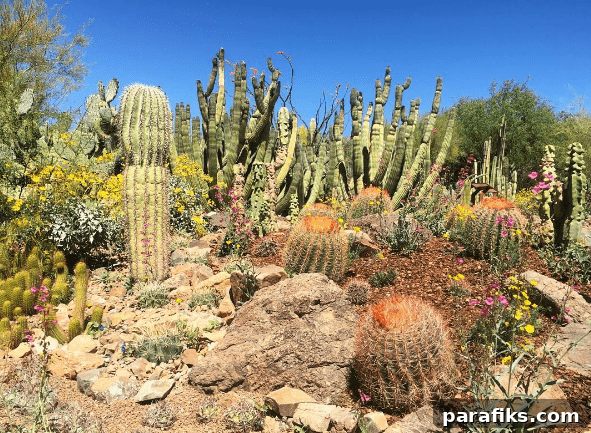 Tucson