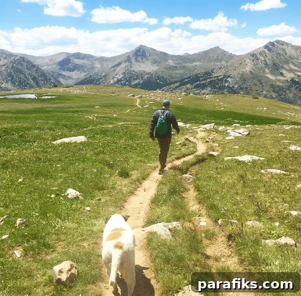 Huron Peak