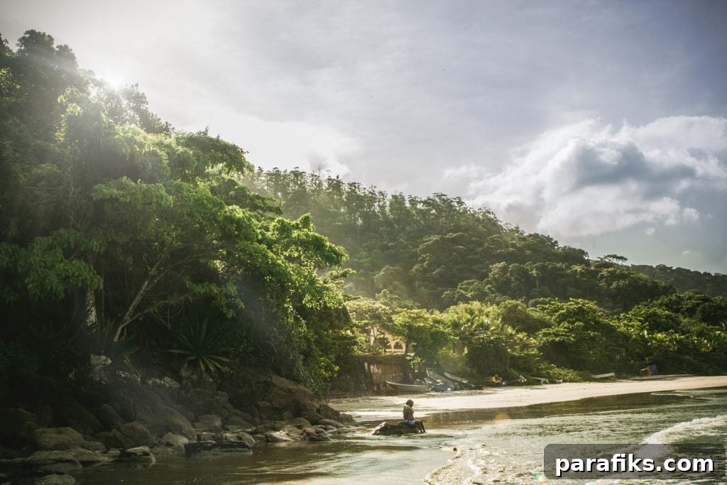 Interested in how to become a digital nomad? Today, you'll learn how to work and travel, find remote working jobs, and how to manage digital nomad life.