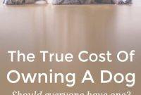 Not Every Home Is Right for a Dog or Cat — Find the Right Match