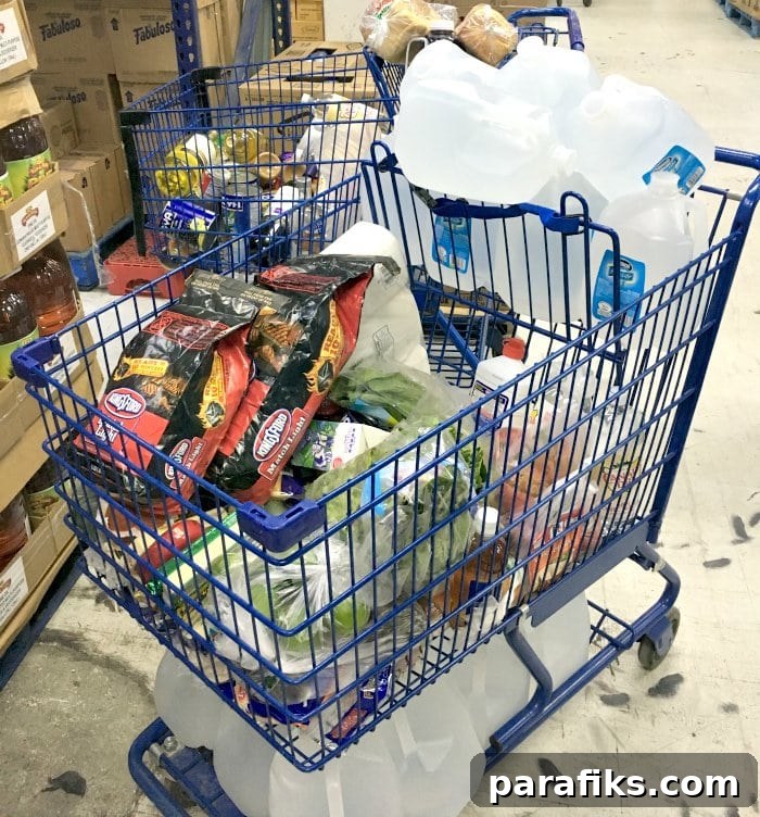 Provisioning for the trip