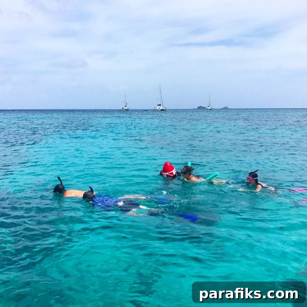 Snorkeling near Virgin Gorda