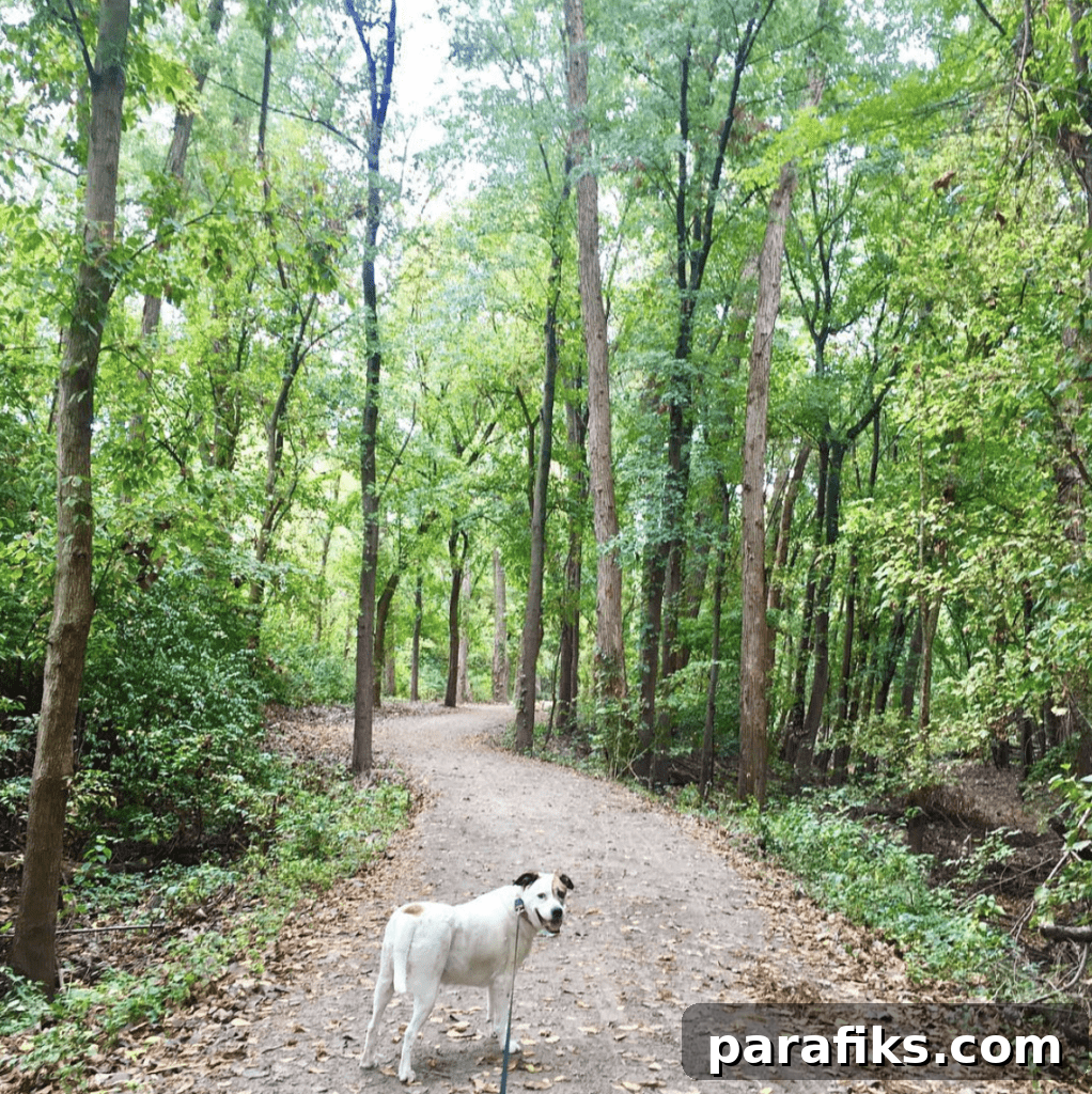 2017 Travel Recap: Hiking, Biking, RVing, Sailing & More 11 October map