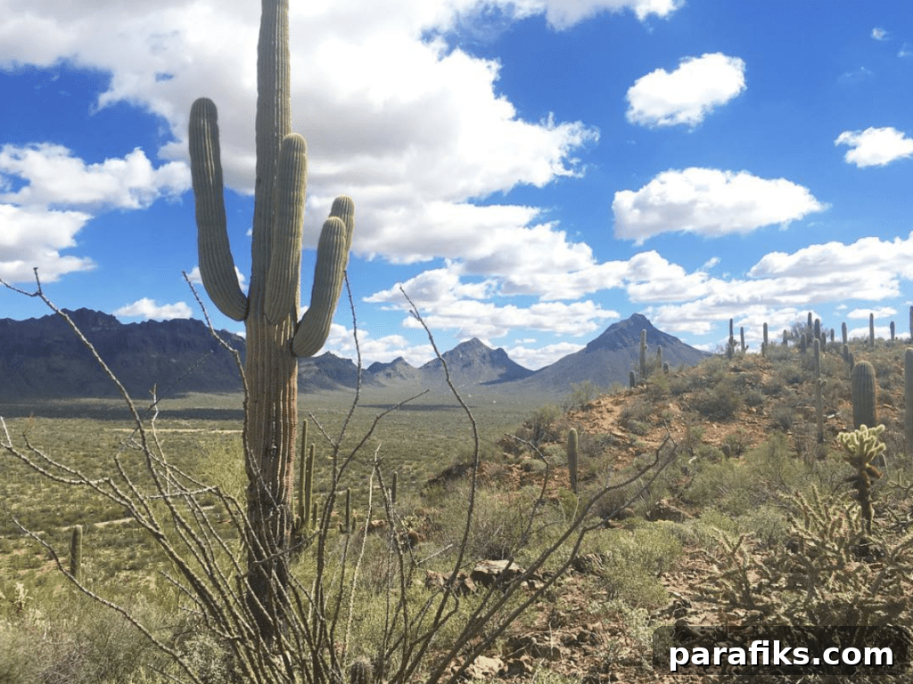 2017 Travel Recap: Hiking, Biking, RVing, Sailing & More 18 February photo