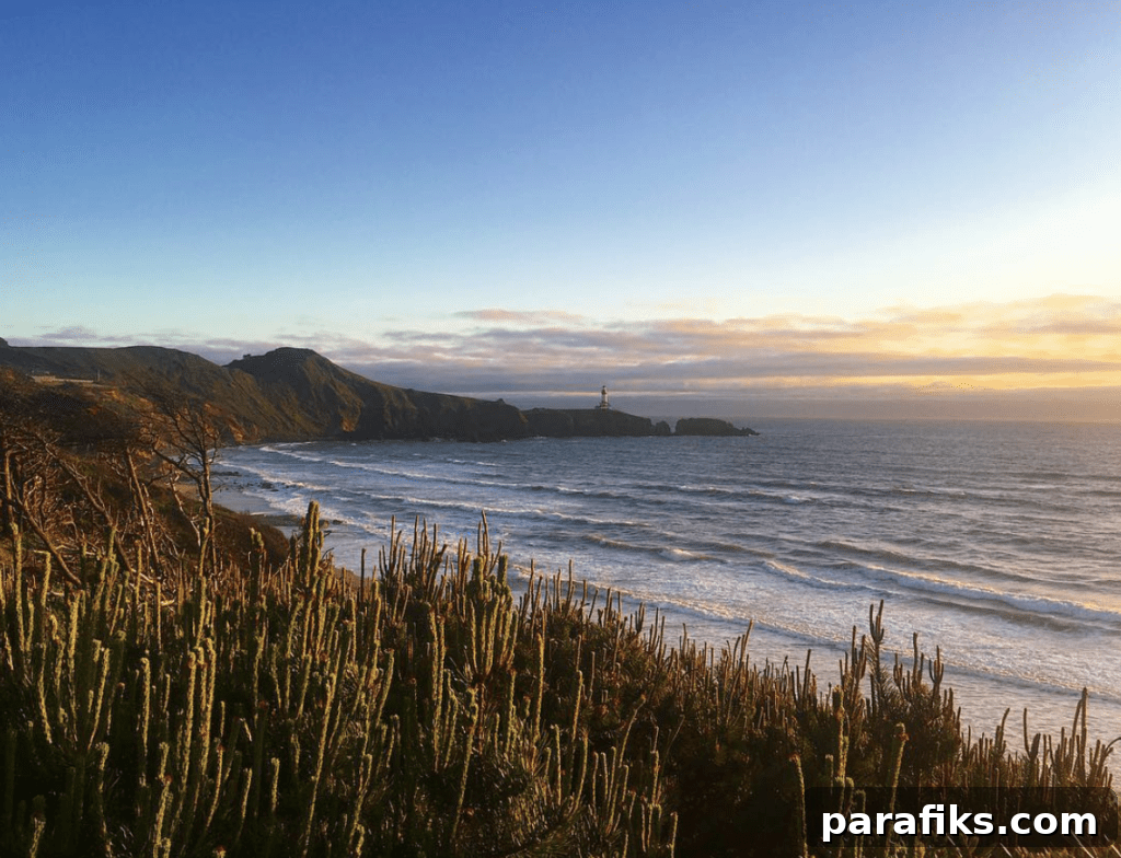 2017 Travel Recap: Hiking, Biking, RVing, Sailing & More 21 Newport