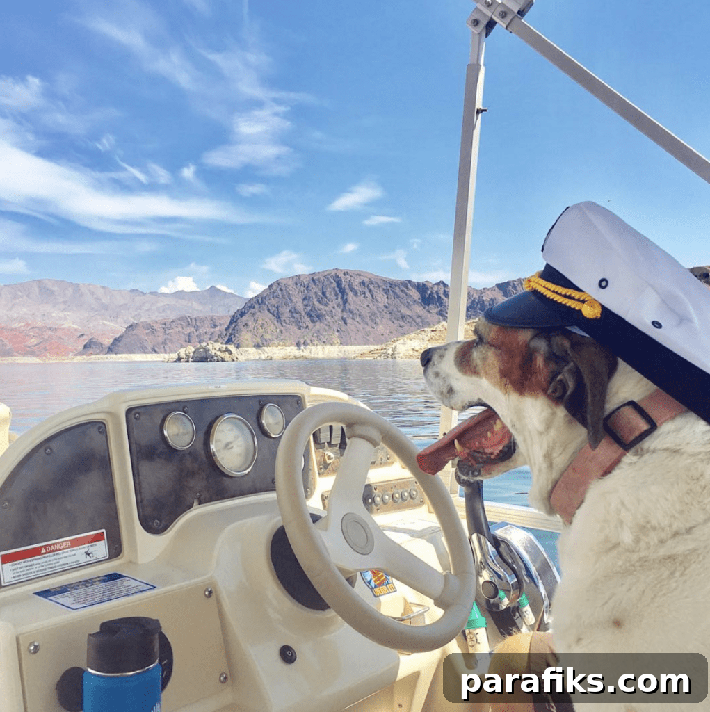 2017 Travel Recap: Hiking, Biking, RVing, Sailing & More 9 August map
