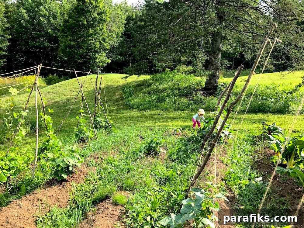 garden - How Elizabeth Reached Financial Independence by 32 And Moved To A Homestead