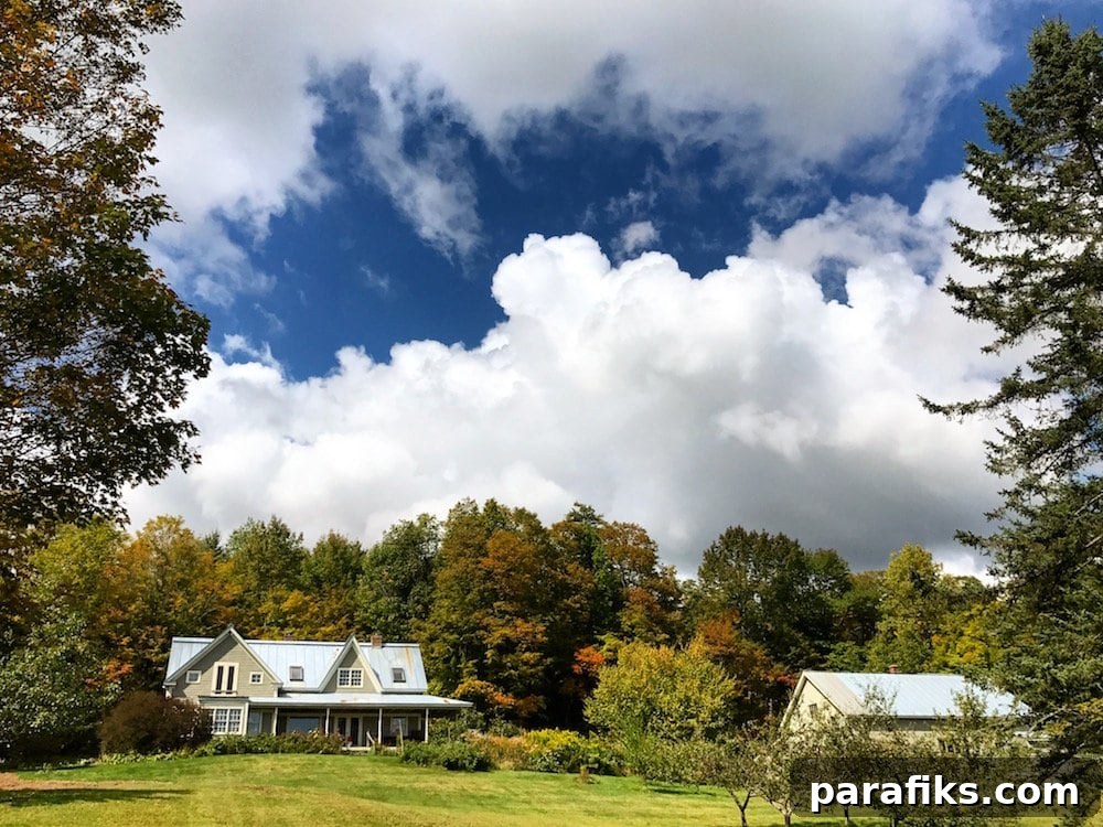 How Elizabeth Reached Financial Independence by 32 And Moved To A Homestead