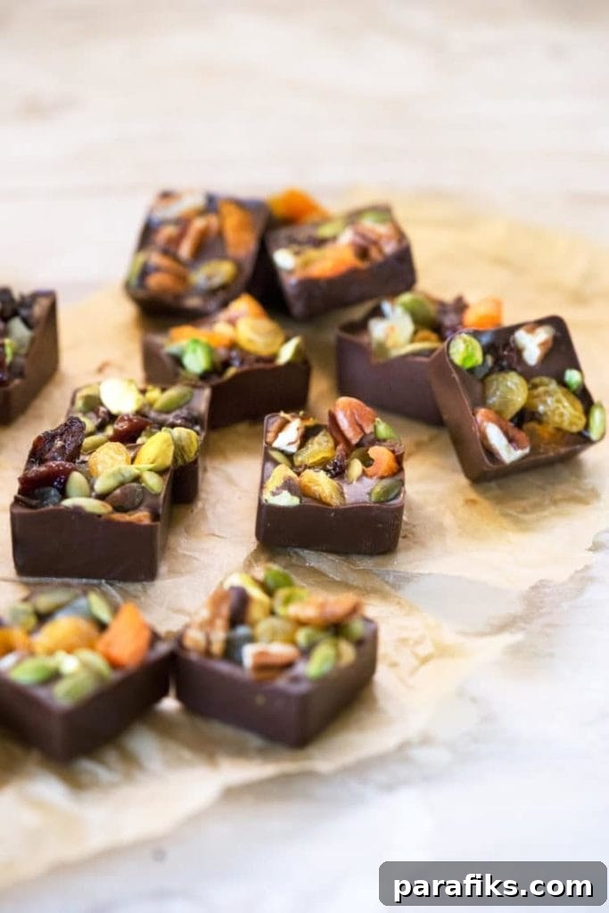 10 Homemade Hiking Snacks to Pack for Your Next Trail Trip 4 Dark Chocolate Fruit Bites