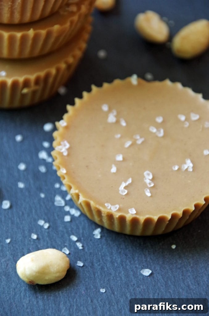 10 Homemade Hiking Snacks to Pack for Your Next Trail Trip 7 Healthy Homemade Peanut Butter Fudge