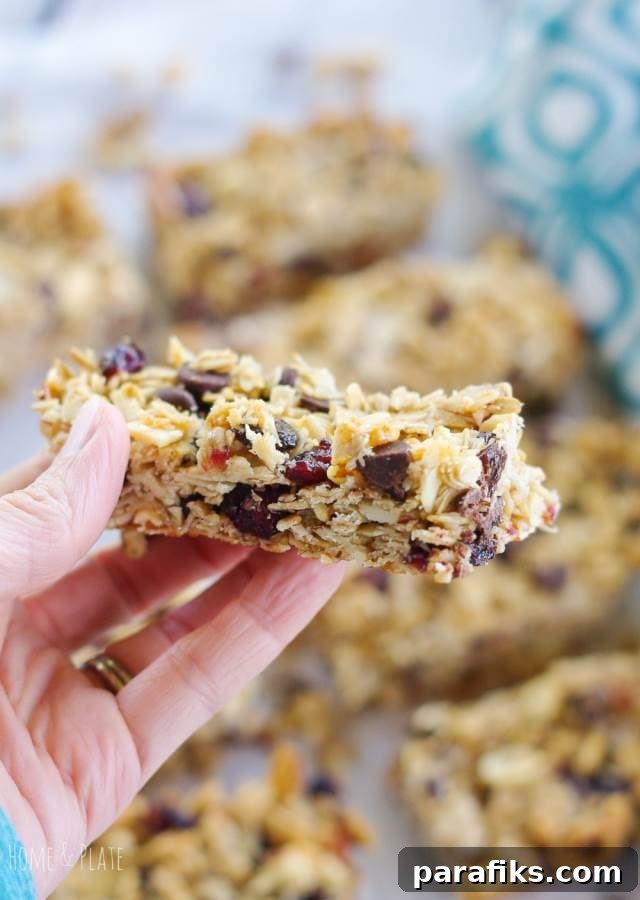 10 Homemade Hiking Snacks to Pack for Your Next Trail Trip 8 Chewy Fruit Nut Granola Bars