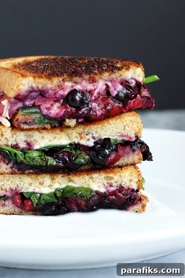 Balsamic Berry Vegan Grilled Cheese