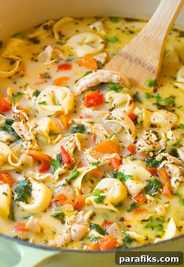 10 Cozy Fall Dinner Recipes to Refresh Your Meal Plan 4 Creamy Chicken Tortellini Soup