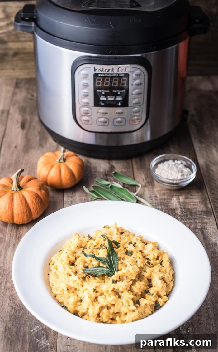 Instant Pot Pumpkin Risotto