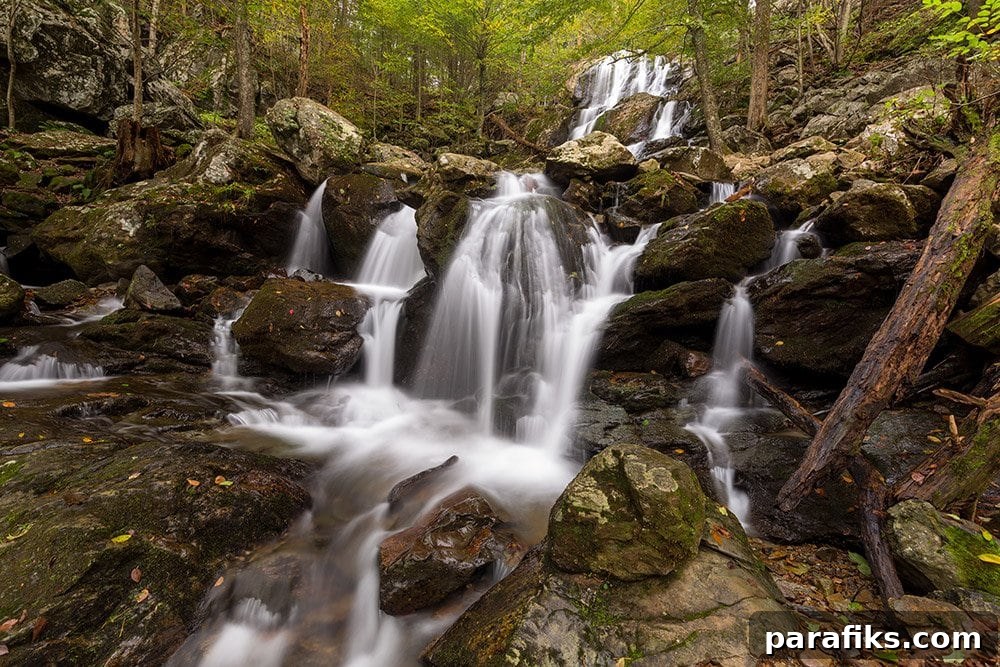 How I Made Over $1,000,000 in Photography Without Being a Pro