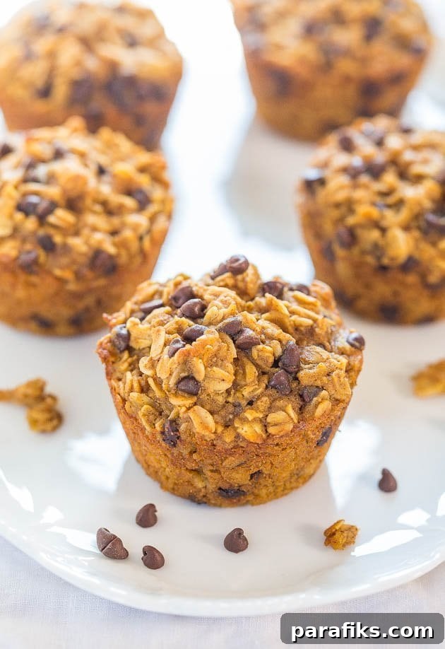 10 Quick Road Trip Snack Recipes for Traveling Foodies 7 Oatmeal pumpkin chocolate chip muffins