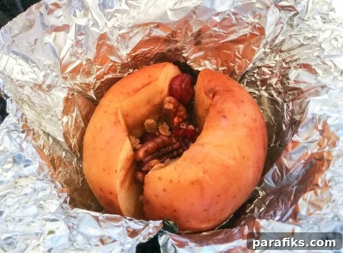 10 Tasty Camping Meal Ideas for Quick Outdoor Cooking 5 Baked Camping Apples