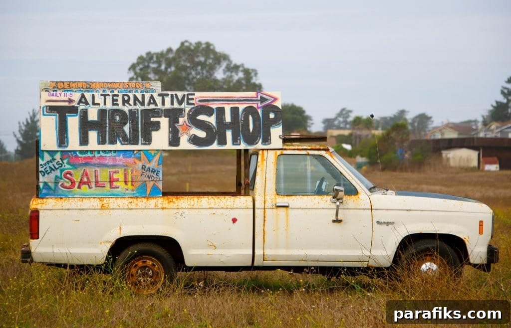 Thrift Store Reselling: Ethical Questions and Profit Potential 3 img 40480 2
